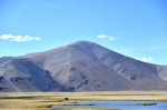 这是5月13日在西藏定结县拍摄的湿地风光。 - 人民网