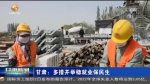 【短视频】甘肃：多措并举稳就业保民生 - 甘肃省广播电影电视