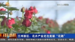 【短视频】兰州新区：花卉产业走出美丽“花路” - 甘肃省广播电影电视