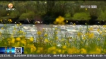 【短视频】世界环境日：人与自然和谐共生 - 甘肃省广播电影电视