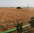 6月6日，在河南省周口市黄泛区农场九分场的麦田里，农机手操作收割机收割小麦。新华社记者 许雅楠 摄 - 人民网