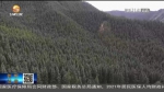 【短视频】肃南县：黑牙沟区域拍到14只豺共同活动影像 - 甘肃省广播电影电视