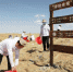 图为志愿者在沙漠压沙。　“绿动未来”供图 - 甘肃新闻