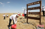 图为志愿者在沙漠压沙。　“绿动未来”供图 - 甘肃新闻