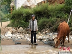 图为西秦岭山中，一位带牛饮水的老人。(资料图)受访者供图 - 甘肃新闻
