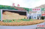 2020年定西市马铃薯产业产值达202亿元。(资料图) 张婧 摄 - 甘肃新闻