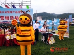 第六届全国中蜂产业发展大会暨蜂产品博览会在陇南两当开幕 - 中国甘肃网