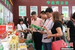 2019年8月，甘肃陇南市“药博会”上，各地商企在展位上寻觅中药材及当地特产。(资料图) 闫姣 　摄 - 甘肃新闻