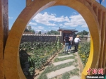 图为甘肃肃州区西洞镇新东村农家小院内，种满农作物与花卉。　闫姣 摄 - 甘肃新闻