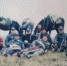 图为草原骑警大队成立之初，部分队员合影。(资料图) 玛曲县公安局供图 - 甘肃新闻