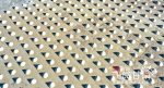 【飞阅甘肃】张掖高台：千年盐池晒盐忙 - 中国甘肃网
