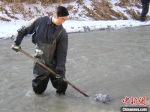 2003年冬季，为防止冰凌危害文物安全，杜建君参与在榆林河道内清理冰凌。(资料照片) 敦煌研究院供图 - 甘肃新闻