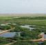 图为甘肃肃州区六分西湖湿地景区，绿草如茵。(资料图) 肃州区委宣传部供图 - 甘肃新闻