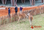 兰州野生动物园今日开园 记者带您抢先体验 - 中国甘肃网