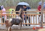 兰州野生动物园今日开园 记者带您抢先体验 - 中国甘肃网