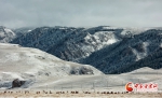 【陇拍客】深秋飞雪 山丹马场“裹”银装 - 中国甘肃网