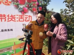 2021·中国甘肃陇南（礼县）苹果产销对接洽谈暨助力乡村振兴就业招聘会开幕 - 中国甘肃网