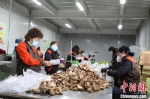 超市员工在蔬菜配送中心进行分拣打包蔬菜。　刘枫 摄 - 甘肃新闻