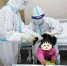 医护人员为小患者梳头。　张掖市第二人民医院供图 - 甘肃新闻