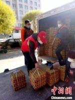 图为石缘玺在帮着搬运鸡蛋。　山丹县融媒体中心供图 - 甘肃新闻