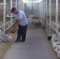 图为李应川给羊喂饲料。(资料图) 武威市新闻传媒集团供图 - 甘肃新闻