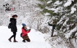 【小陇画报·129期】问道崆峒遇风雪 青山如黛天地白 - 中国甘肃网