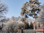 图为崆峒山冬日美景。(资料图) 徐振华 摄 - 甘肃新闻