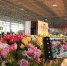 图为兰州新区现代农业示范园花卉产业基地所生产的鲜切花品种展示。　魏建军 摄 - 甘肃新闻