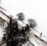甘肃春节丝路冰雪游火热:悬臂长城滑雪场跻身热门景区 - 中国兰州网