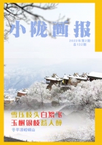 【小陇画报】甘肃平凉：雪压枝头白絮飞 玉树银枝惹人醉（2022年第2期） - 中国甘肃网