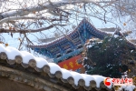 兰州：雪映五泉山更幽 时光流淌数百年 - 中国甘肃网