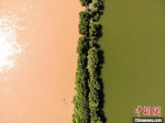 图为2020年9月3日航拍黄河兰州段湿地公园现黄河“鸳鸯锅”。(资料图) 高莹 摄 - 甘肃新闻