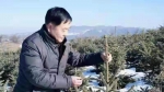 【甘快看】甘肃漳县一退休干部返乡种树，吸纳近400人就业 - 中国兰州网