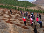 【甘快看】甘肃漳县一退休干部返乡种树，吸纳近400人就业 - 中国兰州网
