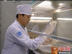 中农威特生物科技股份有限公司副总经理刘学荣在实验室进行“细胞传代”。　受访者供图 - 甘肃新闻