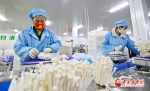 【陇拍客】张掖市甘州区：小蘑菇做成亿元大产业 - 中国甘肃网