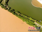 2020年9月3日航拍黄河兰州段湿地公园现黄河“鸳鸯锅”。(资料图)高莹 摄 - 甘肃新闻
