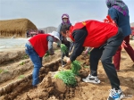 社工委“最美小兰” | 张惠鹏：抗疫一线为民生守望耕耘 - 中国兰州网