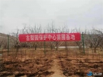 皋兰县古梨园保护中心腹接、桥接技术试验成功 - 中国兰州网