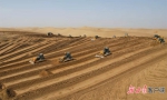 图为甘肃电投集团正在开发建设的武威凉州九墩滩50兆瓦“光伏+治沙”项目，该项目治沙面积达1200亩，让戈壁沙漠变为绿电生产基地。 - 甘肃新闻