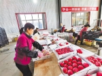 秦安 果蔬产业撑起县域经济半边天 - 人民网