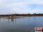图为4月底，金塔胡杨林核心景区金波湖畔风光。　冯志军 摄 - 甘肃新闻