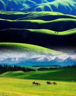 走，一起去寻找那片盛满了爱情的大草原 - 中国兰州网