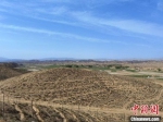 4月底，正在建设中的45万亩“平川区国家储备林项目”。　冯志军 摄 - 甘肃新闻