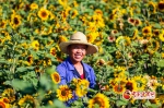 銆愰檱鎷嶅銆戠敇鑲冮厭娉夛細鐩涘鏃惰妭鐢扮蹇 - 中国甘肃网