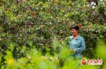 銆愰檱鎷嶅銆戝槈宄叧锛氬皬鏉忓瓙鎾姩鈥滃ぇ骞哥鈥 - 中国甘肃网