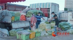 【疫情防控·保障】多图直击兰州居民蔬菜保供大后方 - 中国甘肃网