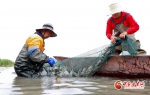 銆愰檱鎷嶅銆戝寳锜瑰崡杩 寮犳帠涓存辰鍗佷竾鏂ゅぇ闂歌煿杩滈攢娌剛 - 中国甘肃网