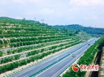 【喜迎二十大】一路通三省 彭大高速让出行更加绿色和智能 - 中国甘肃网