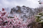 【小陇画报·163期】“道源圣地”崆峒山：冬日雪景伴云海飘渺如仙境 - 中国甘肃网